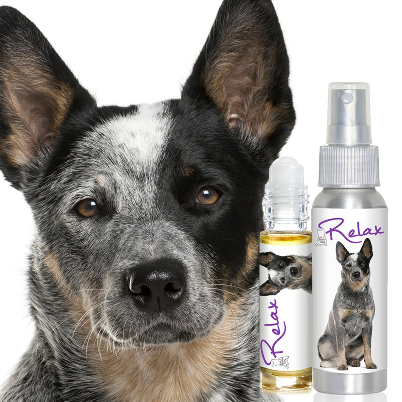 [Australia] - The Blissful Dog Relax Roll-On Aromatherapy for Dogs - Anxiety Relief for Dogs 2.67-Ounce Spray Blue Heeler 