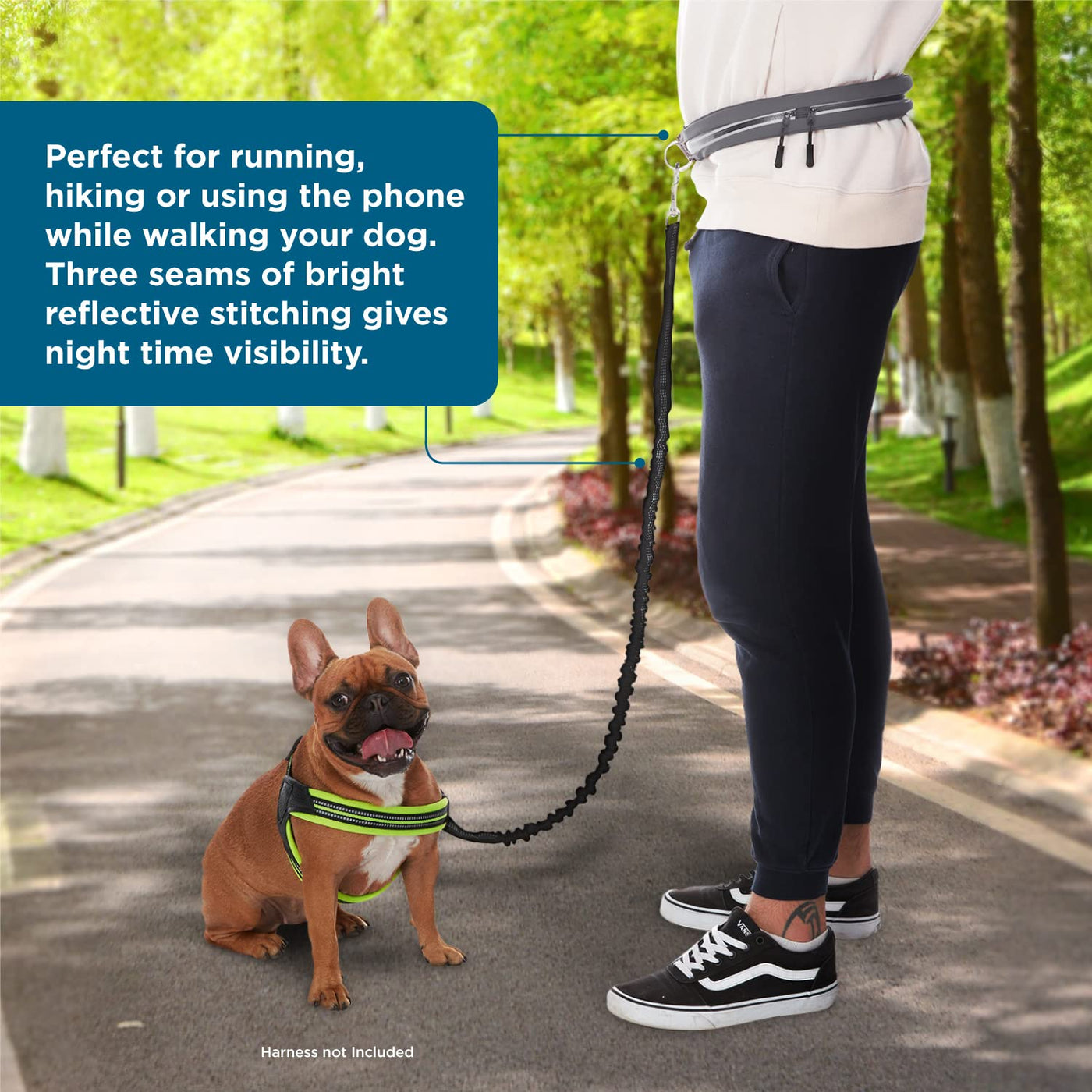 BLACK DECKER Hands Free Dog Leash for Jogging Cycling and