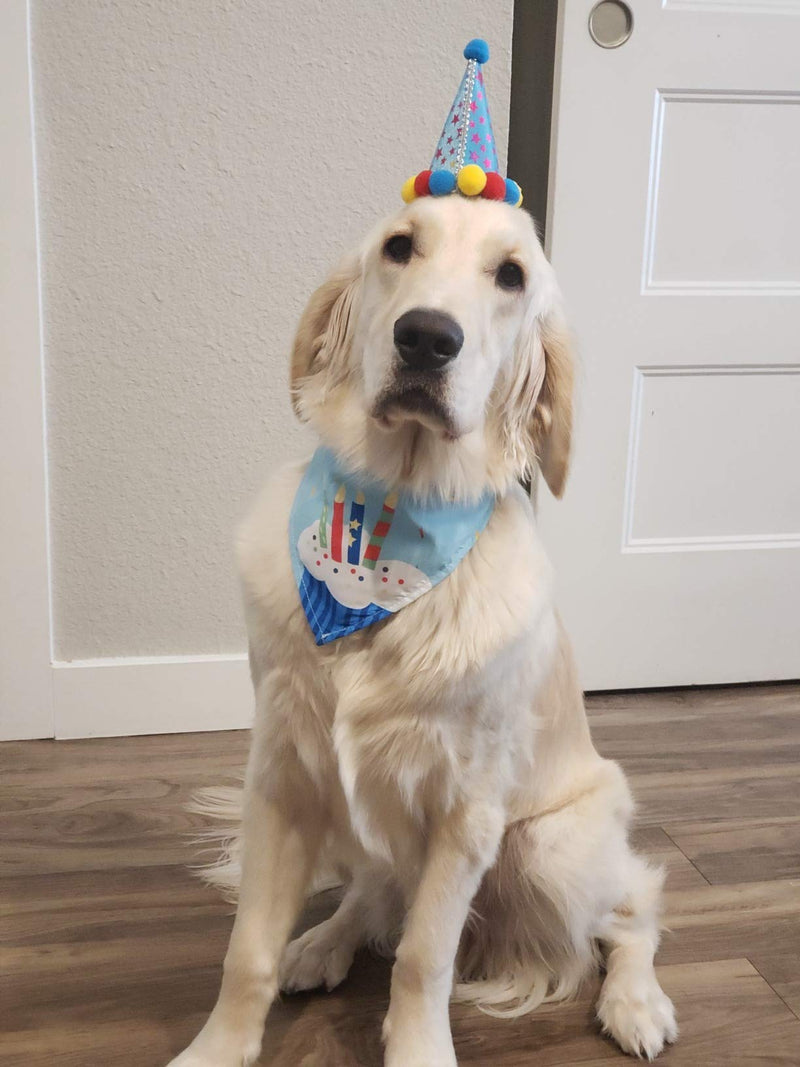 Dog Birthday Bandana Hat Scarf Party Supplies (Blue) Blue - PawsPlanet Australia