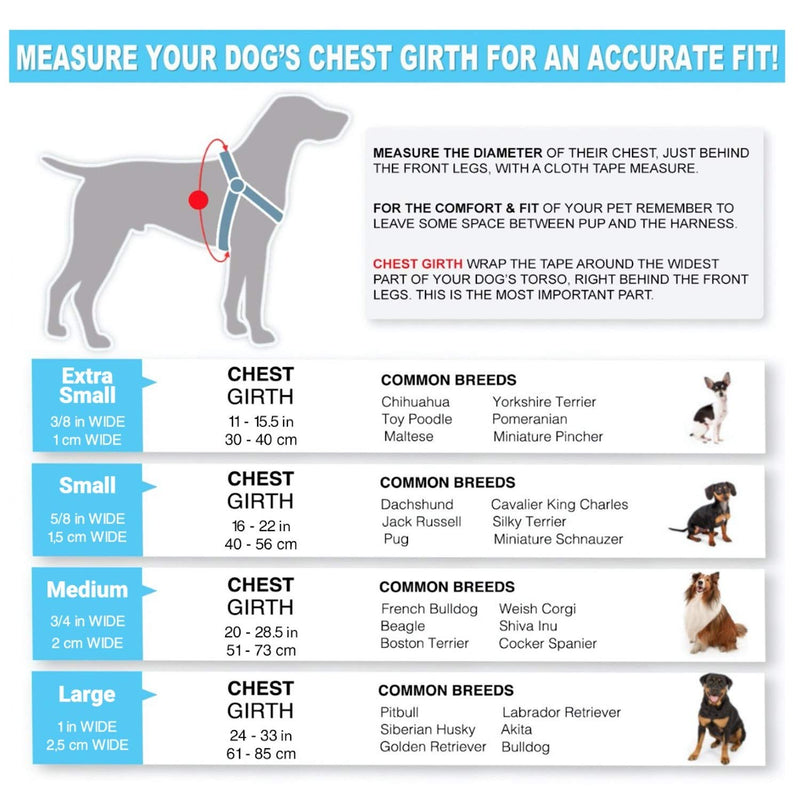 Pawtitas Multicolor Step In Dog Harness or Vest Harness Training of your Puppy Harness Small Pink / Blue / Teal / Green Small S Pink / Blue / Teal / Green 🍭 Multicolor - PawsPlanet Australia