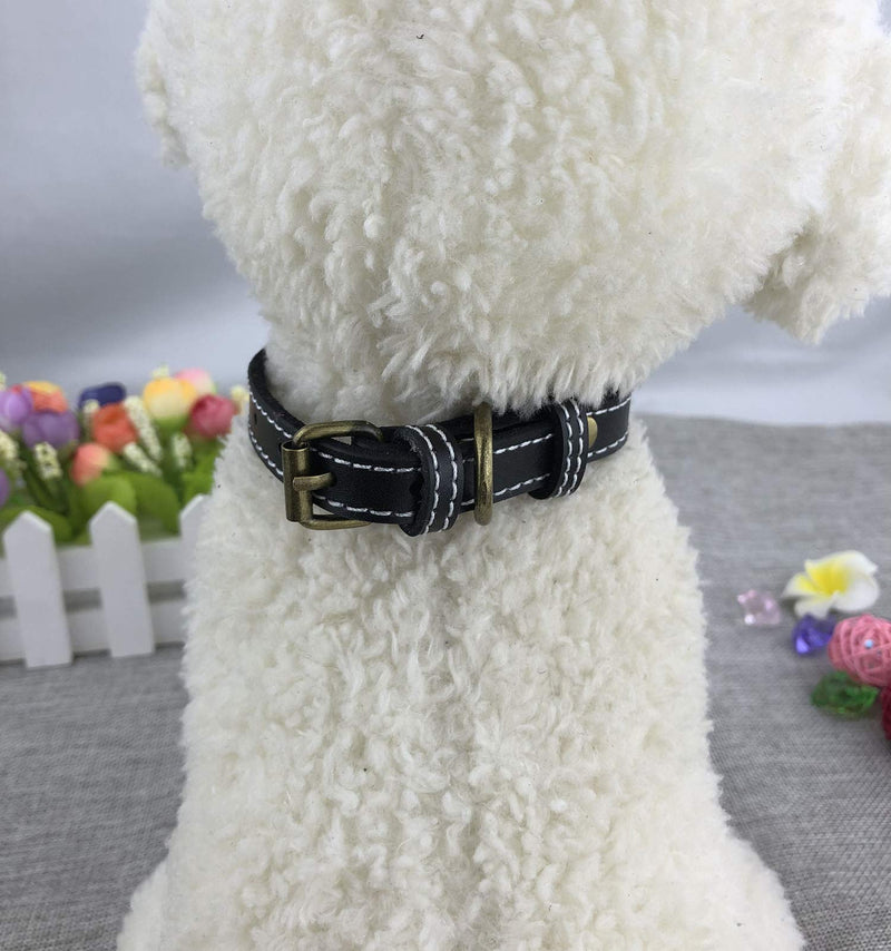 Newtensina Bronze Buckle Dog Collar Retro Leather Puppy Collar for Small Dogs Cats - M - PawsPlanet Australia