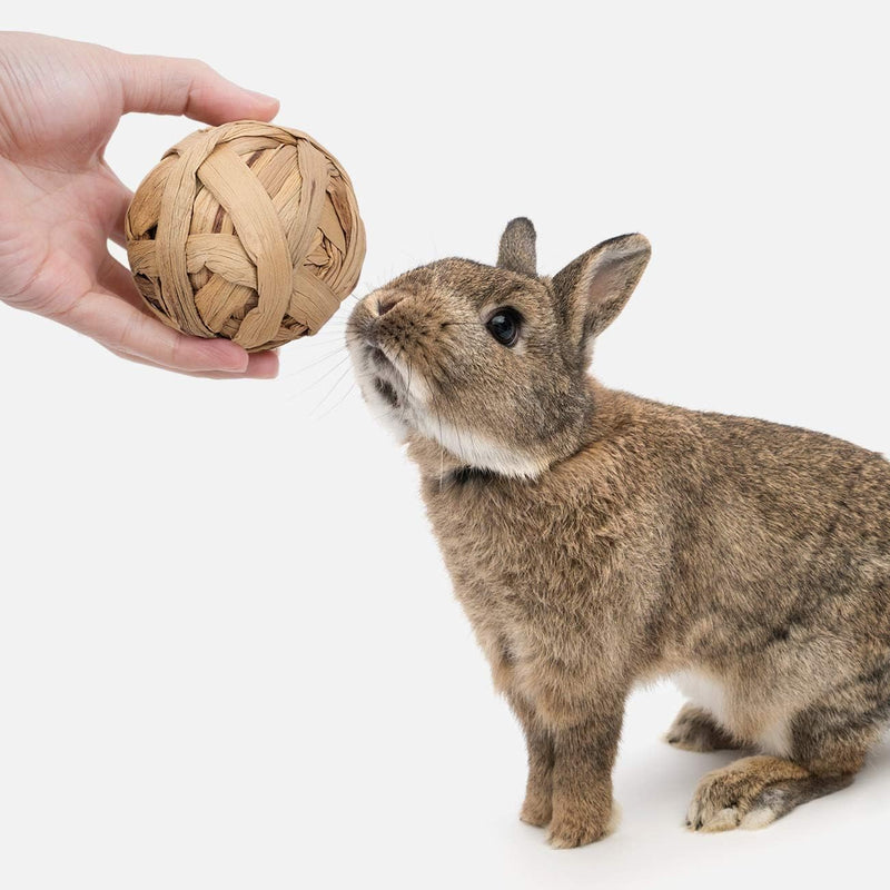 Rabbit Toy, Small Animal Chew Toy for Small Animals, Molar Toy, Dental Care, Wooden Accessories for Guinea Pigs, Chinchillas, Gerbils, Mice, Rats, Mouse (Chew Toy Set A) Chew Toy Set A - PawsPlanet Australia