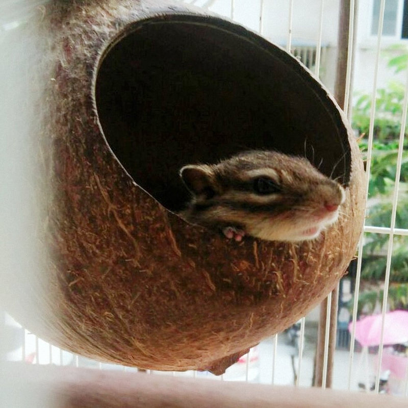 [Australia] - OMEM Coconut Shell Bird House,House for a Hamster,Bird Cage Toy,Pet Bird Supplies L 