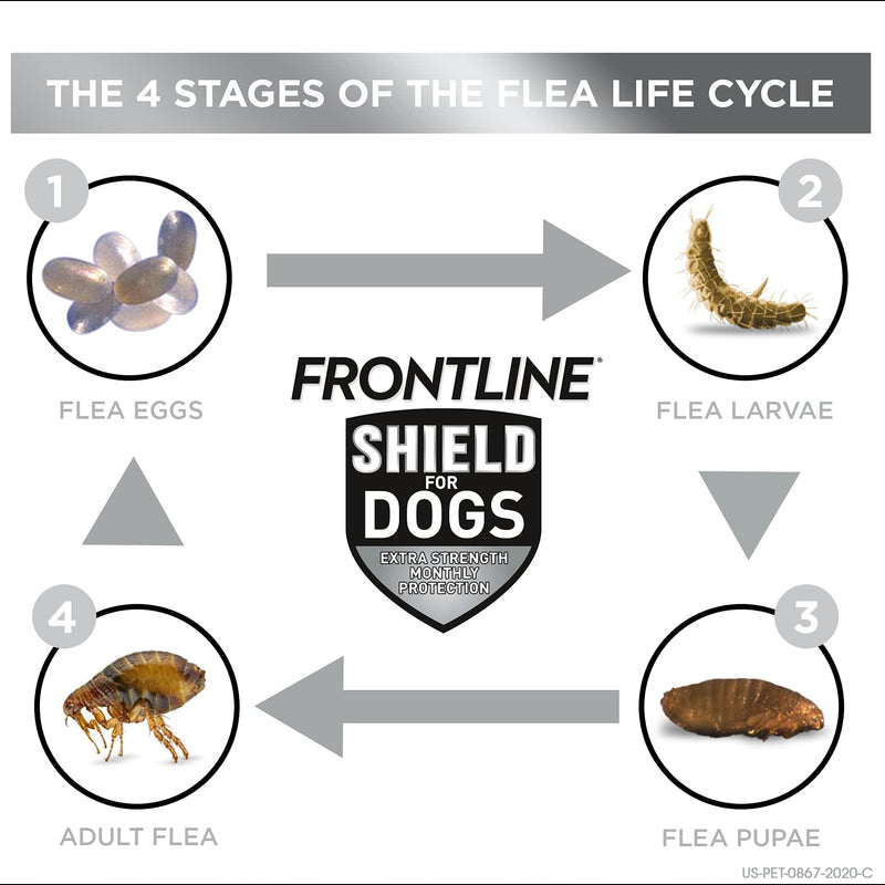 FRONTLINE Shield for Dogs Flea & Tick Treatment, 41-80 lbs, 3ct - PawsPlanet Australia