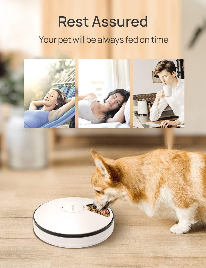 MAICHENG 6 Meal Automatic Pet Feeder-Wet and Dry Cat Food Dispenser with Programmable Timer,Portion Control,LCD Display-for Dogs Cats Small Animals-420g - PawsPlanet Australia