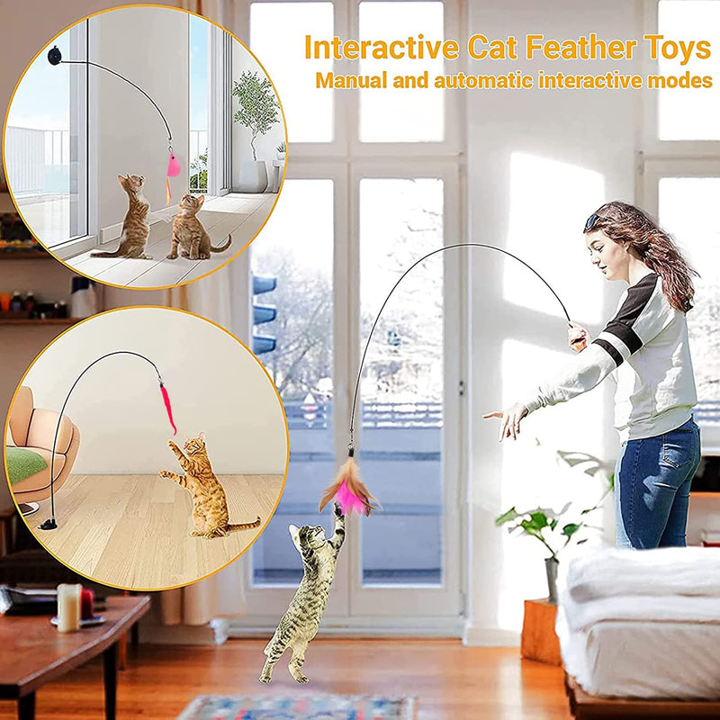 GingerUPer Interactive cat toy fishing rod with feather intelligence toy for cats feather toy with suction cup for kitten self-employment (13 pieces feather/mouse/fish) 10 pieces feather/mouse/fish - PawsPlanet Australia