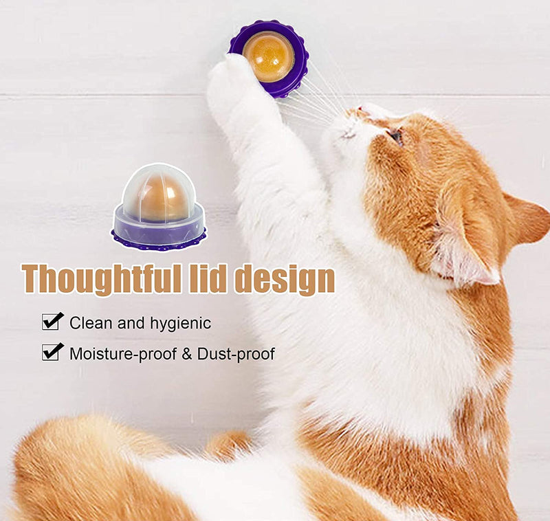 QUTOP Catnip Balls Toy, Natural Catnip Balls for Cats Licking, 6 Pack Interactive Catnip Cat Toys, Care Teeth Cleaning Catnip Toys for Indoor Cats Kitten Kitty, Cat Nip Balls Toy 4Pack - PawsPlanet Australia