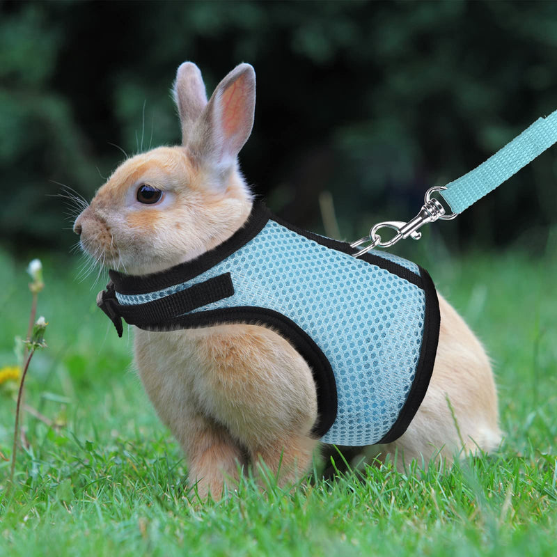 Pack of 2 Adjustable Soft Rabbit Harness with Elastic Towing Leash for Small Animals Kitten Pet Rabbit Harness for Cats Rabbits Running Walking Jogging Harness (L) L - PawsPlanet Australia