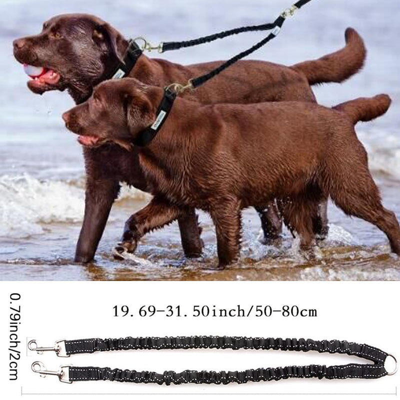Exsbtay dog leash for 2 dogs, dog leash for large dogs, leash for 2 dogs, 360° rotating, splitter double leash for dogs for small, medium and large dogs, puppies, running training - PawsPlanet Australia