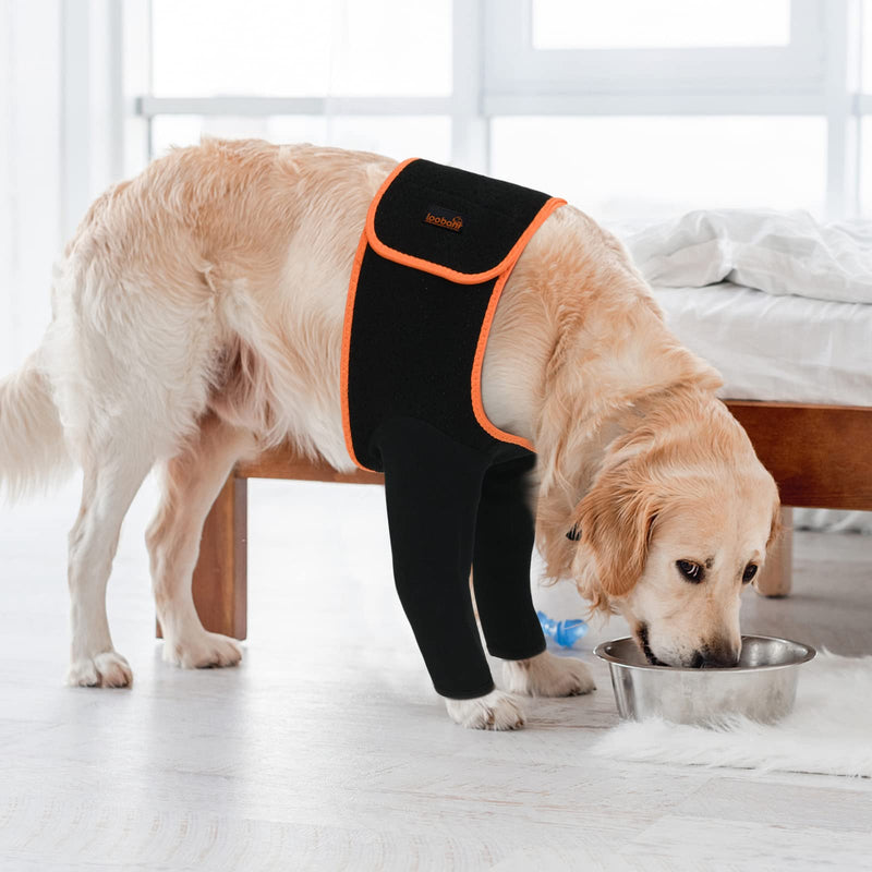 LOOBANI Dog Leg Sleeve to Stop Licking, Cone Collars Alternative, Scratch Resistant Wear Resistant Dog Recovery Sleeve, Waterproof Dog Sleeve to Prevent Licking Bite, avoids Wound Infection - L - PawsPlanet Australia