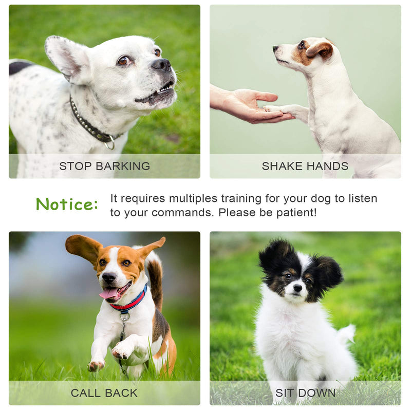 Weewooday 5 Pieces High Pitch Plastic Dog Whistles for Recall Training, Dog Training Whistle with Lanyards and Key Rings (Black, Orange, Blue, Purple, Green) - PawsPlanet Australia