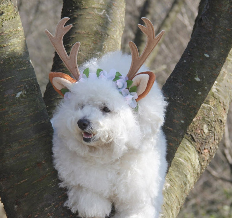 Hillento Dog Elk Antler Reindeer Hat Cap Dog Cat Pet with Flowers Christmas Reindeer Antlers Ears Wearable for Small/Medium/Large Dogs, M M(for medium dog) Brown - PawsPlanet Australia