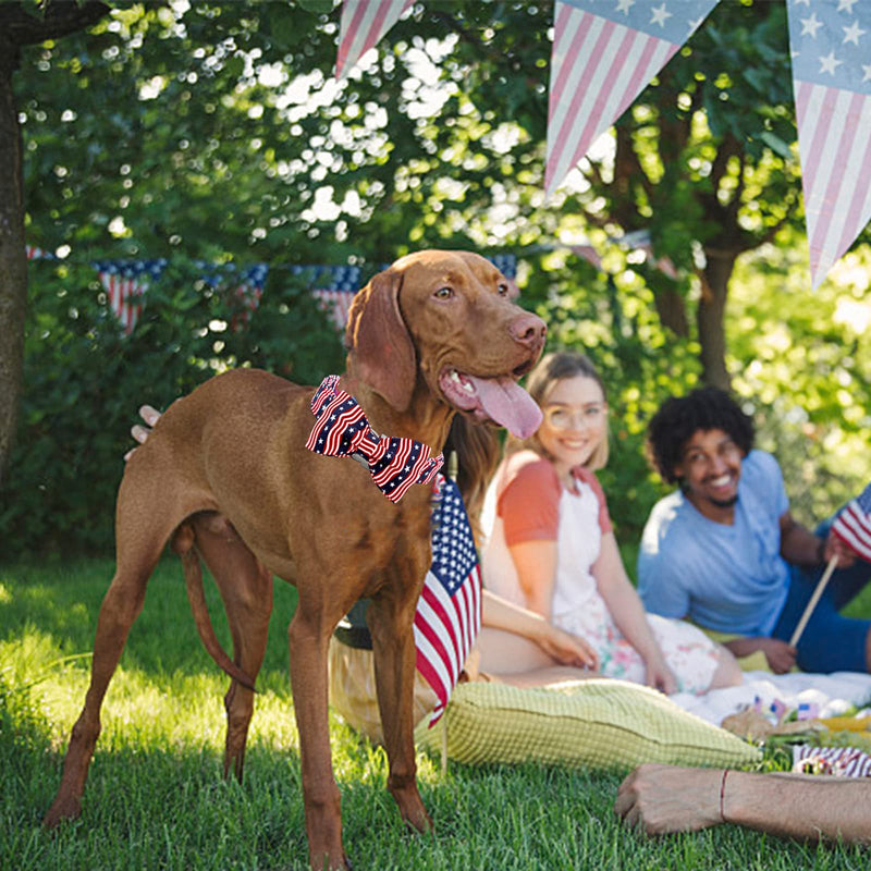 Lionheart glory American Flag Dog Collar, 4 of July Dog Bow Collar Heavy Duty Adjustable Patriotic Dog Collar with Bowtie for Medium Dogs Pet Gift Medium (Pack of 1） A:American flag - PawsPlanet Australia