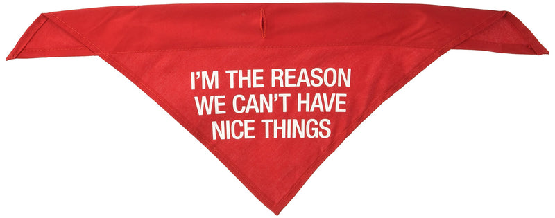 [Australia] - About Face Designs Can't Have Nice Things Large Pet Bandana, Red 