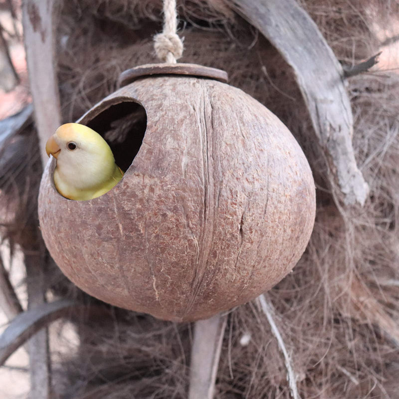 Gecko Coconut Husk Hut, Bird Hut Nesting House Hideouts Hanging Home, Treat & Food Dispenser, Durable Cave Habitat with Hanging Loop for Crested Gecko, Reptiles, Amphibians and Small Animals - PawsPlanet Australia