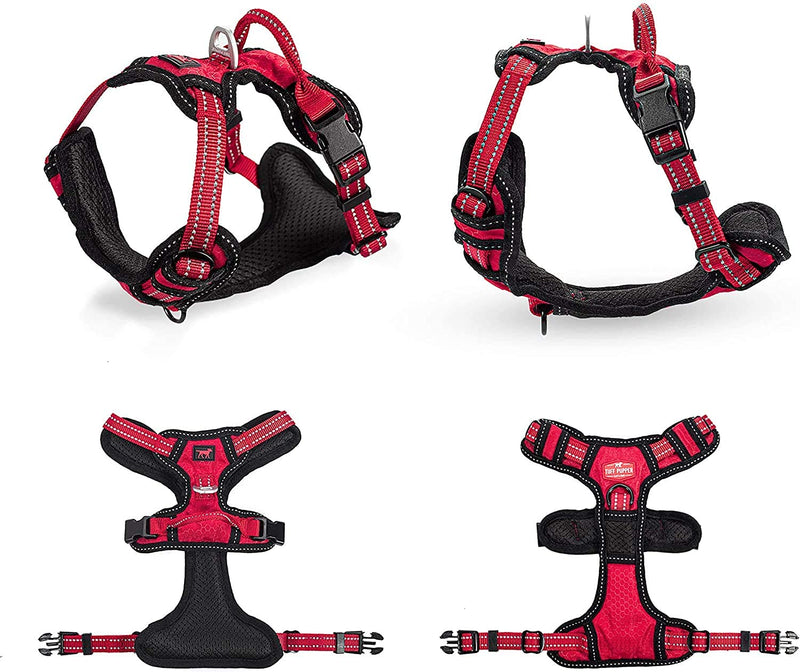 Upgraded for 2022 - Metro No Pull Dog Harness | Reflective Dog Harness | Front/Back Leash Clips | Safety Handle | Padded Training Dog Harness for Comfort | Adjustable Small Medium Extra Large Dogs Small (Neck: 12-17" , Chest: 15-19") Epic Black - PawsPlanet Australia