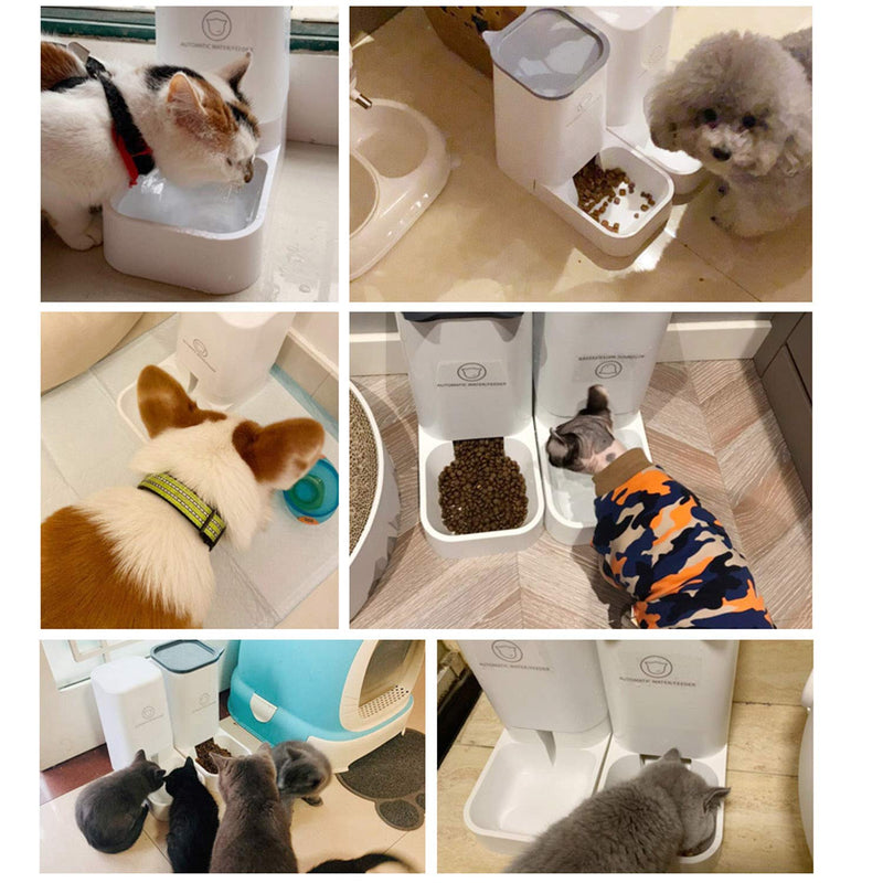 Pet Food Feeder and Water Feeder Set No Spill, Large Water Dispenser Automatic Gravity and Dry Food Dispenser Auto Feeder Self Feeding for Large Middle Small Cats Dogs Puppy Kitten - PawsPlanet Australia