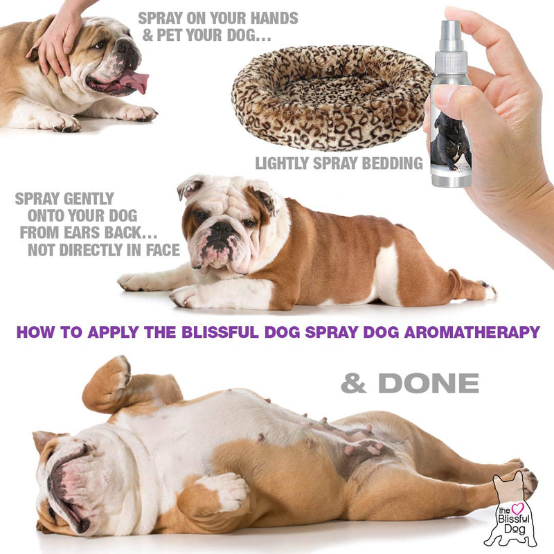 [Australia] - The Blissful Dog Relax Roll-On Aromatherapy for Dogs - Anxiety Relief for Dogs 2.67-Ounce Spray Blue Heeler 