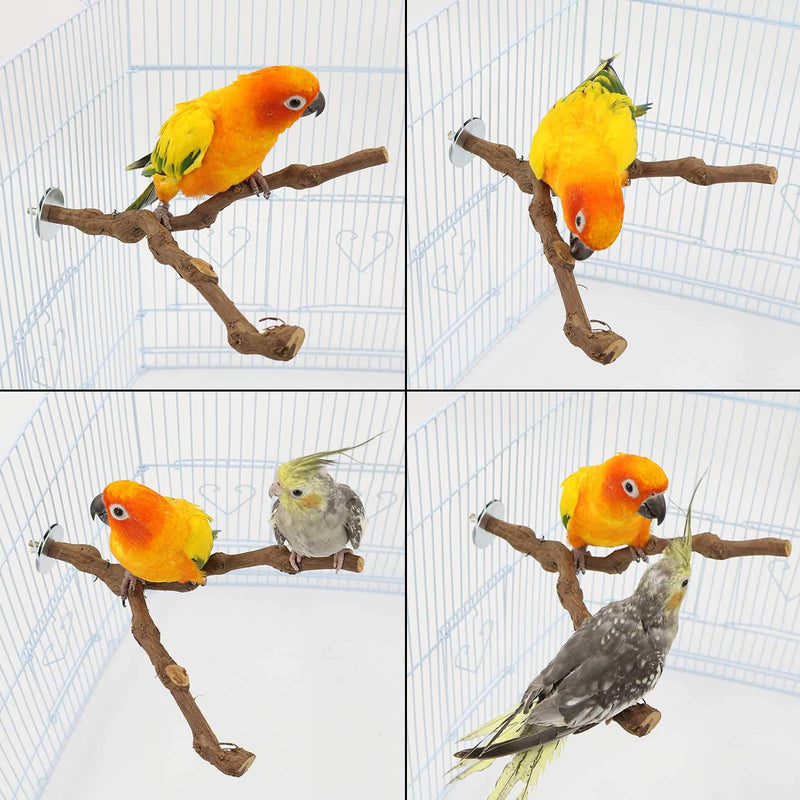 kathson Natural Parrot Perch Bird Stand Pole Wild Grape Stick Paw Grinding Fork Parakeet Climbing Standing Branches Toy Chewable Cage Accessories for Small Budgies Cockatiels Lovebirds 2PCS - PawsPlanet Australia