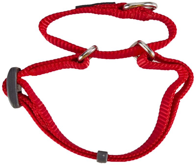 Red Dingo - Necklace semiahogo Red Medium - PawsPlanet Australia