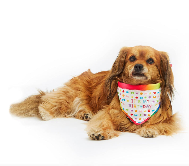 Pet London Dog or Cat Birthday Bandana Reversible in Fun Happy Bright Colours - Celebrate Dog's Happy Birthday for Boy or Girl-Rainbow Pattern, Party Bday or Adoption Gift Celebration Small 10-18" - PawsPlanet Australia