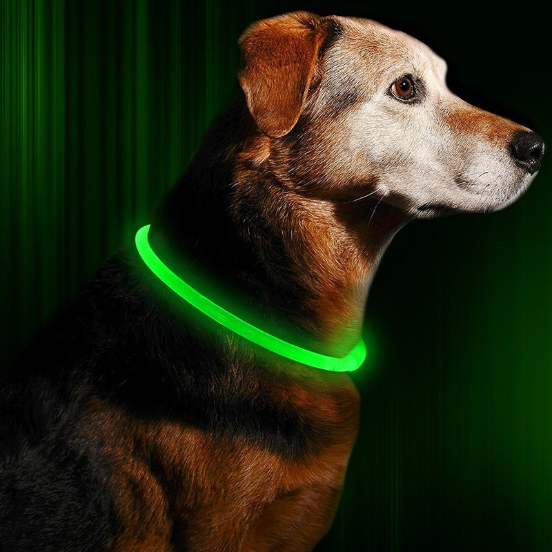 [Australia] - BSEEN LED Dog Collar, USB Rechargeable, Glowing pet Dog Collar for Night Safety, Fashion Light up Collar for Small Medium Large Dogs Neon Green 