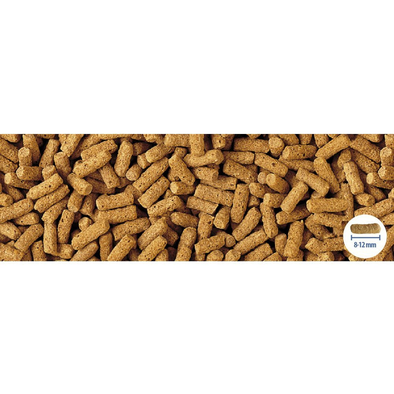 Tetra Pond Wheatgerm Sticks - 1 L 1 l (Pack of 1) - PawsPlanet Australia