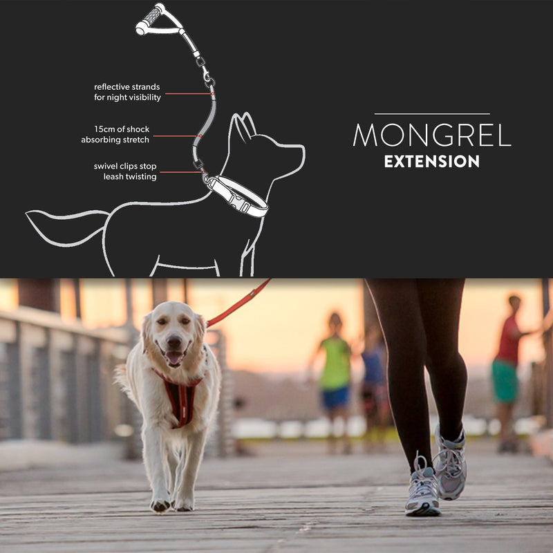 [Australia] - EzyDog Mongrel Dog Leash Extension, 24-Inch Black 