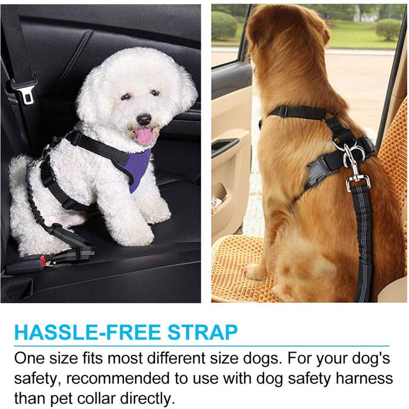 Amacoam Dog Seat Belt for Car Dog Car Seat Belts Dog Car Harnesses Universal with Elastic Shock Absorption and Strong Carabiner Adjustable Dog Seatbelt for Small/Medium/Large Dogs and Cats 2 Pieces - PawsPlanet Australia