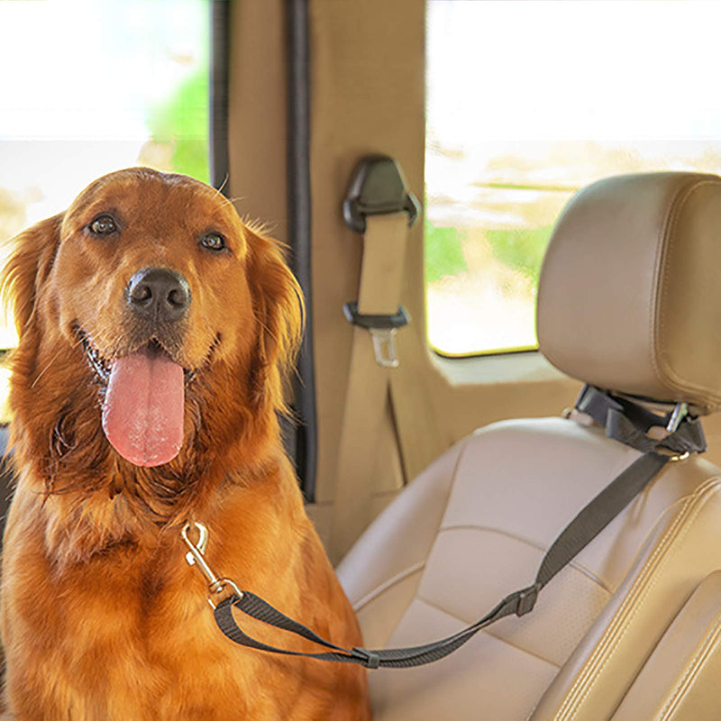 Dog Seatbelt Headrest Dog Seat Belt Harness for Cars, Adjustable Nylon Pet Puppy Cat Car Safety Leads for Vehicle - PawsPlanet Australia