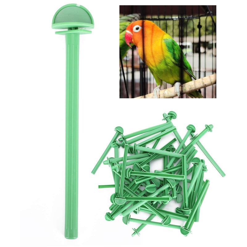 50pcs Sturdy and Durable Perches, Pet Bird Standing Stick， Bird Cage Accessories for Parrots Parakeet Standing Various Birds to Stand - PawsPlanet Australia