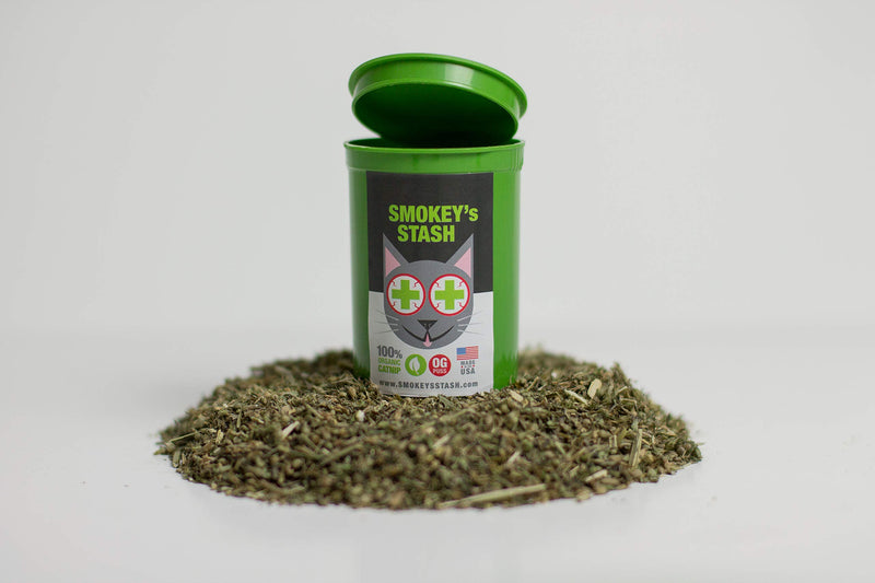 [Australia] - Smokey's Stash Cat Toy Interactive Catnip Dental chew cat Toothbrush refillable with Bell 
