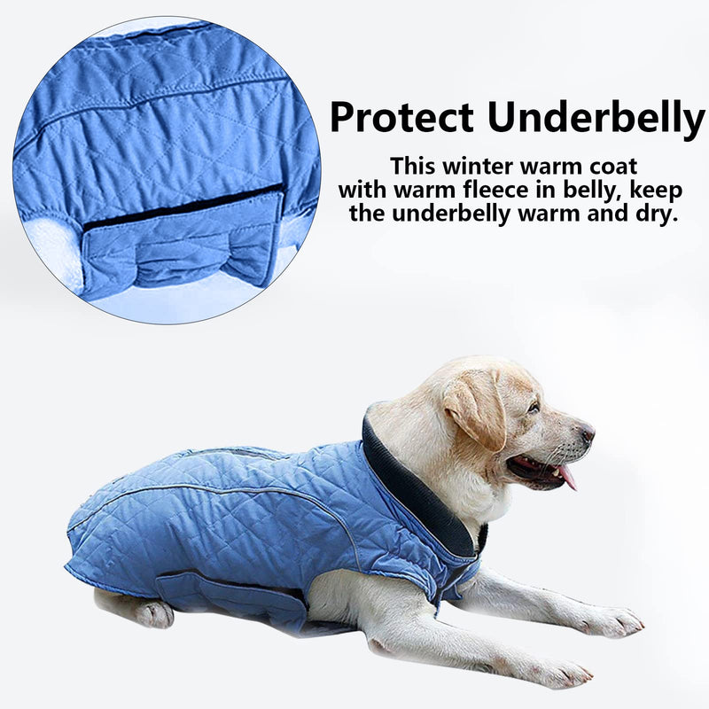 Morezi dog coat with reflective strim, winter dog jacket water resistant underbelly warm puppy suit with harness hole - Suitable for french bulldog, shitzu, jack russell terrier - XS - Blue X-Small (Back: 24CM) - PawsPlanet Australia