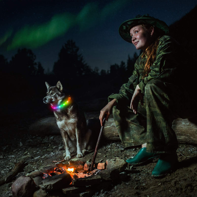 NOVKIN LED Dog Collar, Rechargeable Dog Collar with RGB Color Changing, Waterproof Dog Lights Make Pet Visible and Safe for Night Walks for Small Medium Dogs Rainbow - PawsPlanet Australia