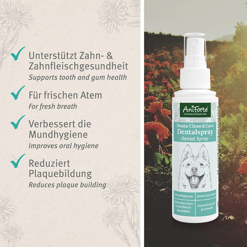 AniForte Denta Clean & Care dental spray for dogs - 100% natural extracts & calcium, removes plaque, bad breath spray for fresh breath, prevents plaque, tartar, dental care spray - PawsPlanet Australia