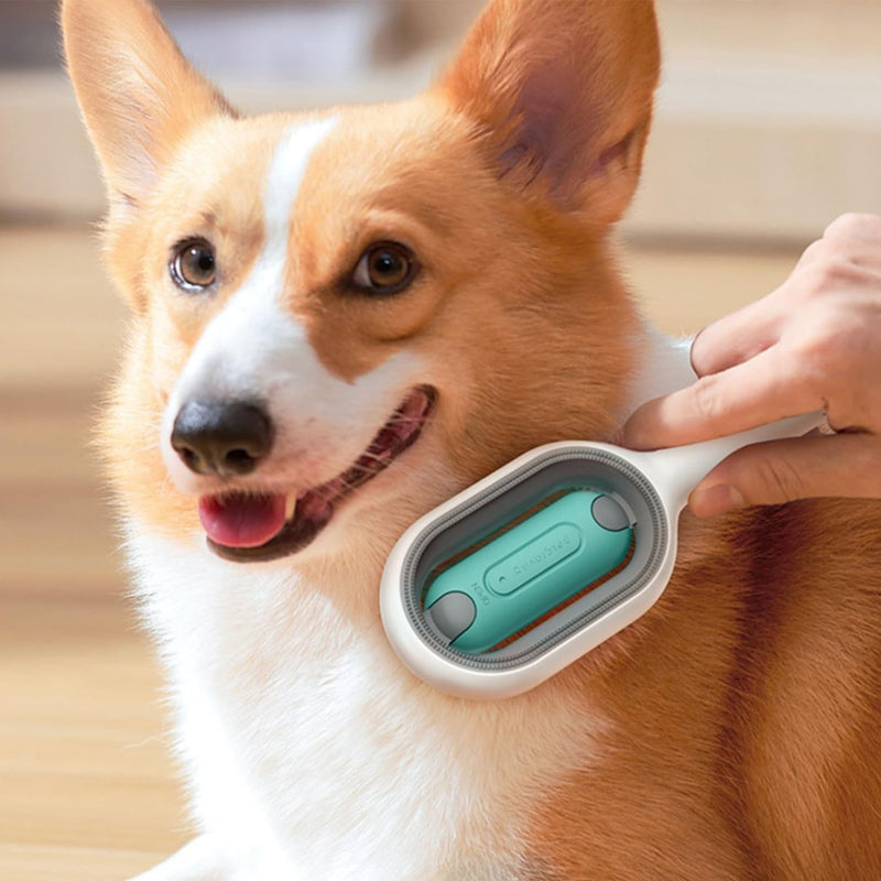 Pack of 2 Pet Hair Removal Comb with Water Tank, Cat Brush Dog Brush, Cleaning Brush with Water, Pet Hair Multifunctional Brush, 3-in-1 Pet Hair Removal Brush, Suitable for Pets - PawsPlanet Australia