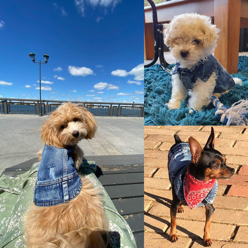[Australia] - Tealots Dog Jean Jacket, Soft and Cool Shirt, Dog Cowboy Clothes Pet Jacket Coats, Puppy Outfits Blue Denim Vests for Small Medium Large Dogs Boy and Cats Clothing Apparel XS 
