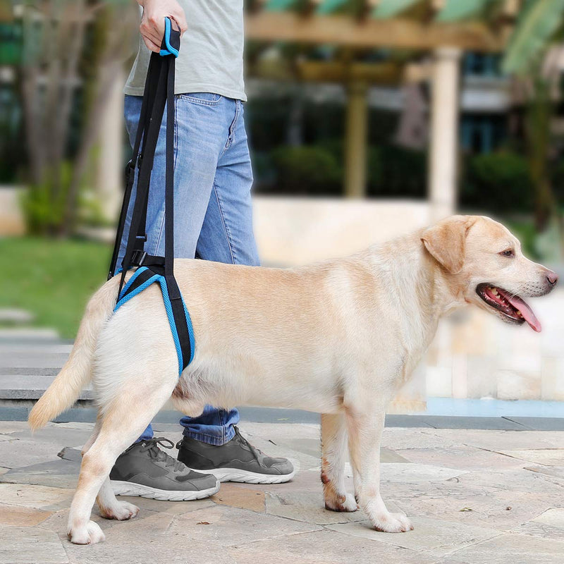 Komate Dog Lift Harness for Back Legs Portable Pet Support Sling for Help Lift Dogs Rear Dog Sling for Back Leg Disability Injury Dog Staircase Auxiliary Belt Retard (M (Rear leg 35-45cm)) M (Rear leg 35-45cm) - PawsPlanet Australia