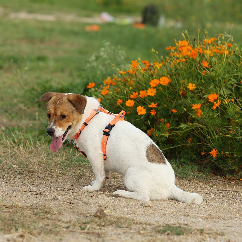 RC GearPro No Pull Dog Harness Outdoor Adventure Reflective Vest with Handle and 2 Leash Attachments Matching Leash Collar for Pet Walking Training Running (M, orange) M - PawsPlanet Australia