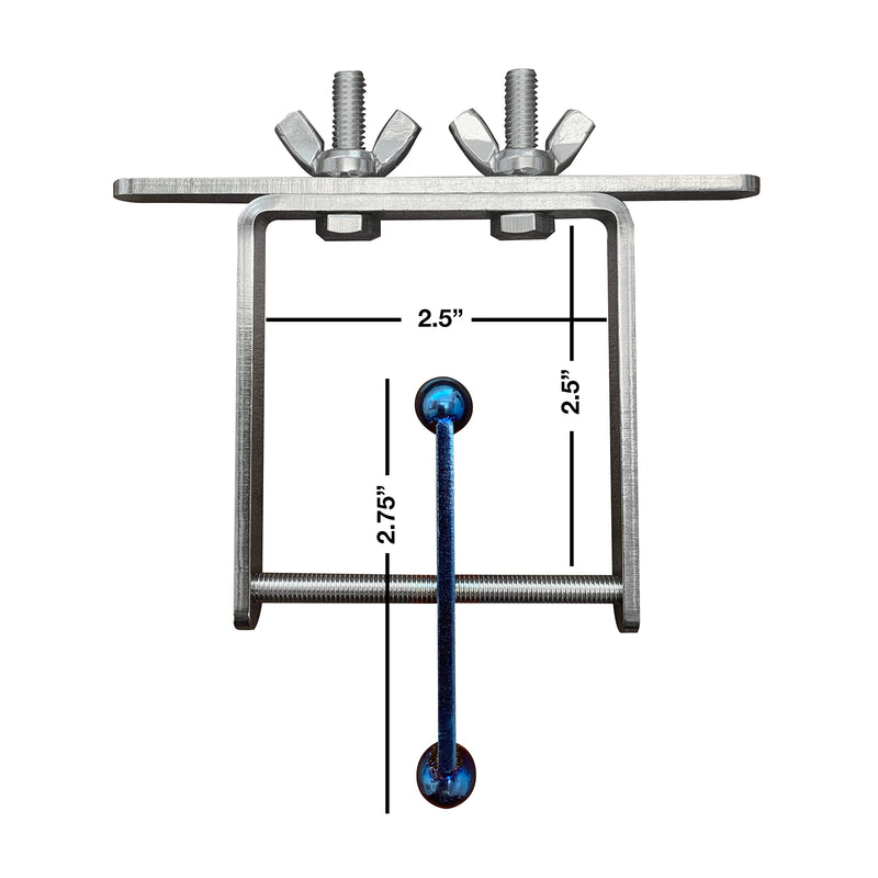 Busy Bird | Blue Flamed Spinner Bird Toy with Traveling Spinner - 100% Metal, Ultimate Brain Teaser and Mind Game for Medium to Extra Large Birds (Blue Flamed Stainless Steel) Blue Flamed Stainless Steel - PawsPlanet Australia