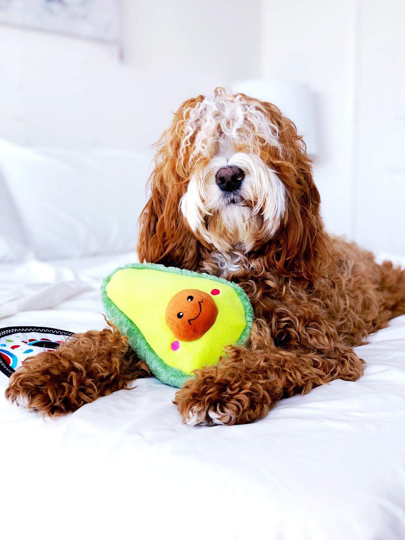 [Australia] - ZippyPaws Nomnomz Avocado Dog Toy - Soft Plush Squeaker Toy for Small, Medium, Large Dogs 