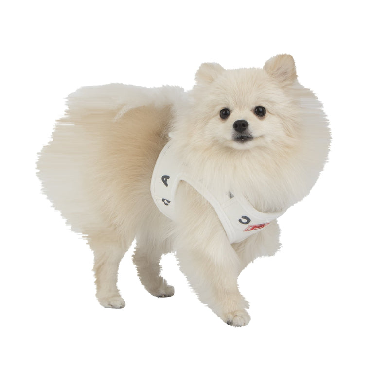 [Australia] - Puppia PARA-HB1532-GY-L Grey Algo Harness B Pet-Vest-Harnesses White Medium Puppia Algo Vest Harness B 