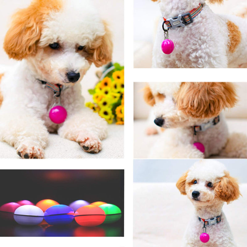 hirsrian Clip on pet, pet collar light Dog Flash Collar Light Colorful Safety Lights of Dogs and Cats,waterproof Light up Dog Collar for Night Walking(5pc+5Batteries) - PawsPlanet Australia
