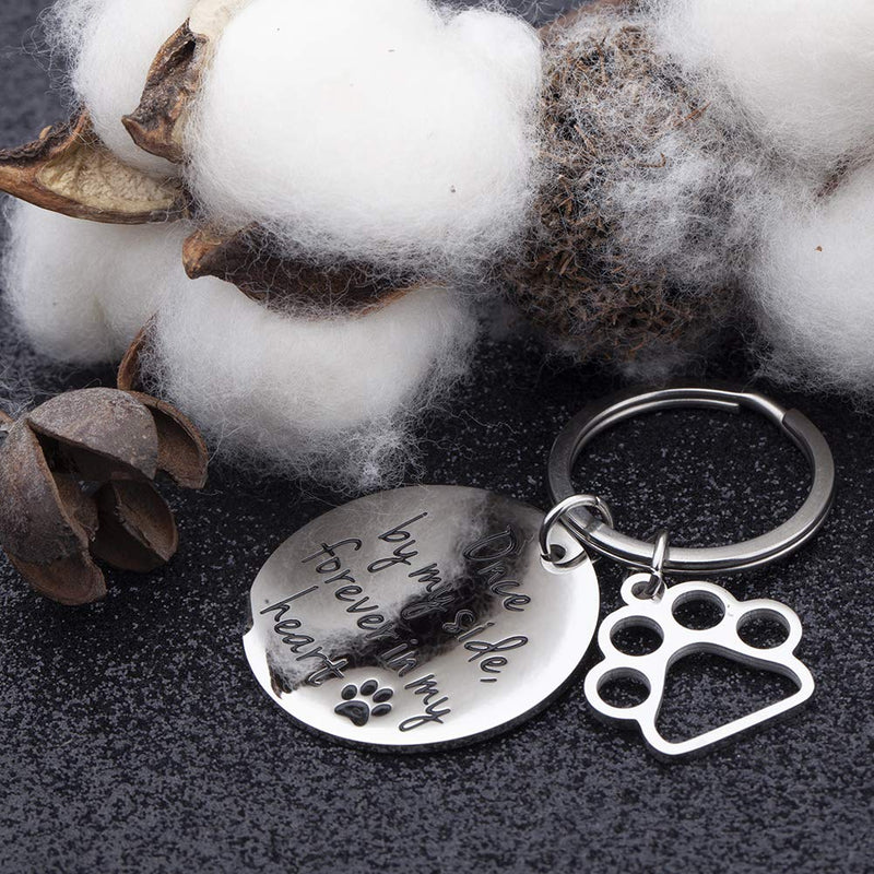 [Australia] - VANLOVEMAC Loss of Pet Memorial Keychain Dog Cat Remembrance Jewelry Pet Sympathy Gift Dog Remembrance for Women Men Once by My Side Forever in My Heart Key Ring 