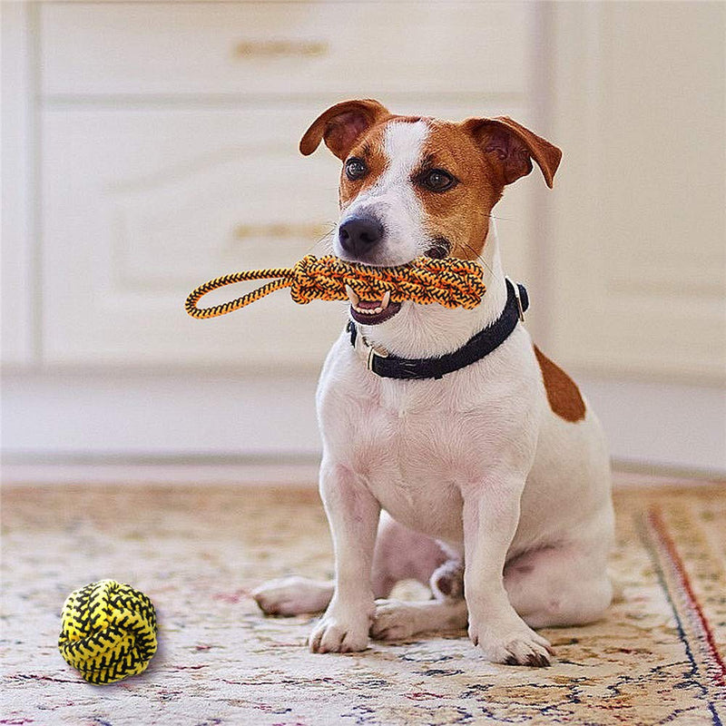 Large Dog Rope Toys for Aggressive Chewers, Snakeskin Pattern Durable Cotton Rope Chew Toy For Medium and Big Dogs - PawsPlanet Australia