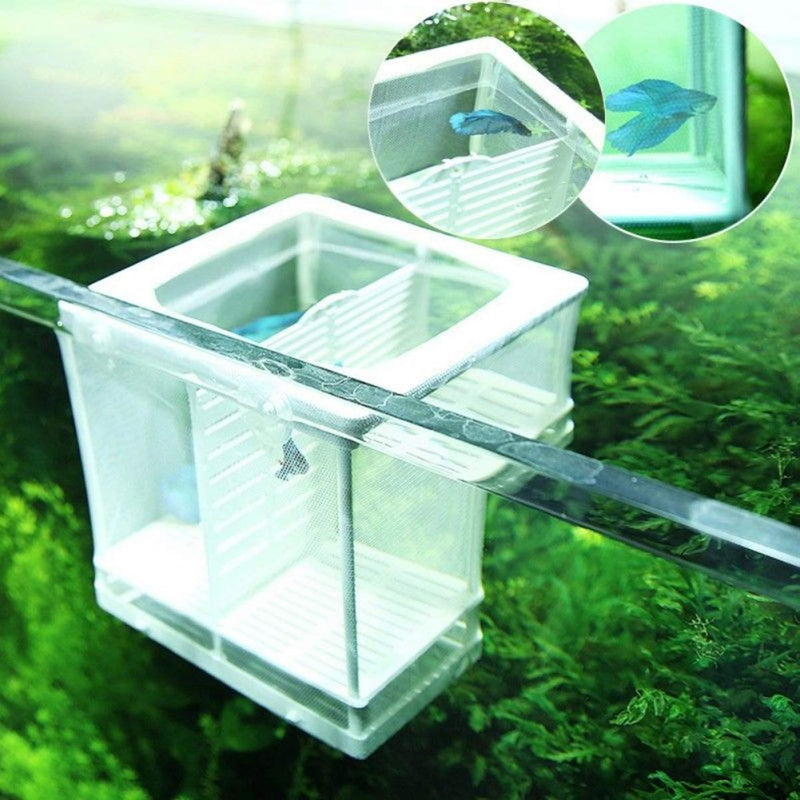 POPETPOP Fish Breeder Net Box for Aquarium - Fish Isolation Breeding Box Large Size Fish Mesh Fish Fry Hatchery Breeder Box for Aquarium Fish Tank - PawsPlanet Australia