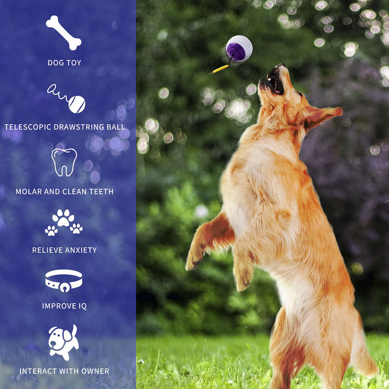 FreeDote Multifunctional pet Dog Toy Hand Throwing Ball, Outdoor Automatic Telescopic Molar Chewing Toy Ball (Purple Gold) - PawsPlanet Australia