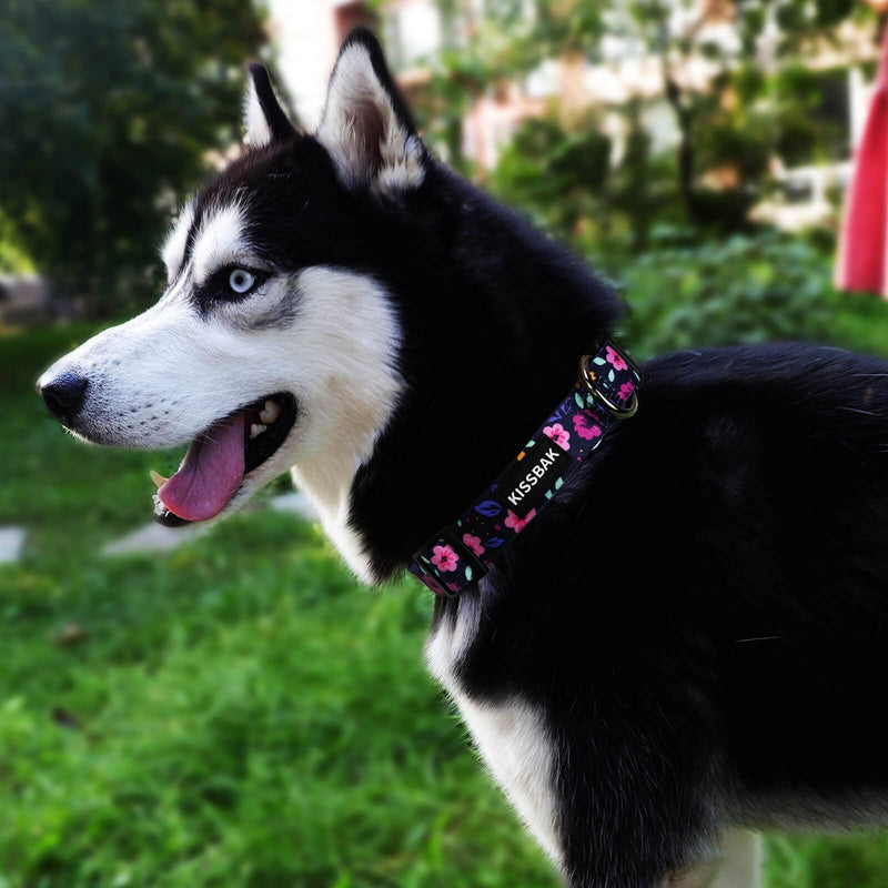 KISSBAK Dog Collar for Small-Medium-Large Dogs - Special Design Cute Girl Dog Pet Collar Soft Adjustable Fancy Floral Girl Puppy Dog Collars XS - PawsPlanet Australia