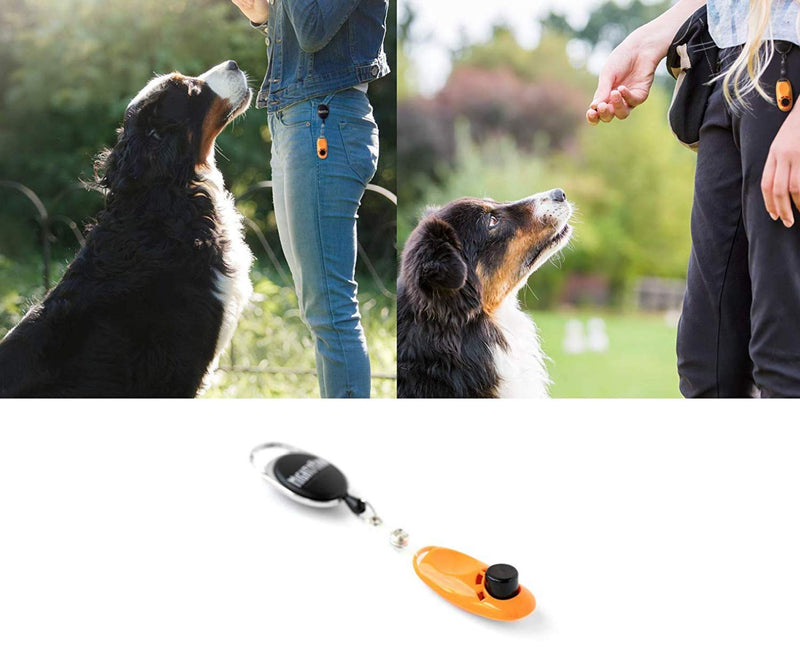 Mighty Paw Dog Training Clicker, 2 Attachment Options, Retractable Belt Clip + Wrist Lanyard (Orange) Orange - PawsPlanet Australia