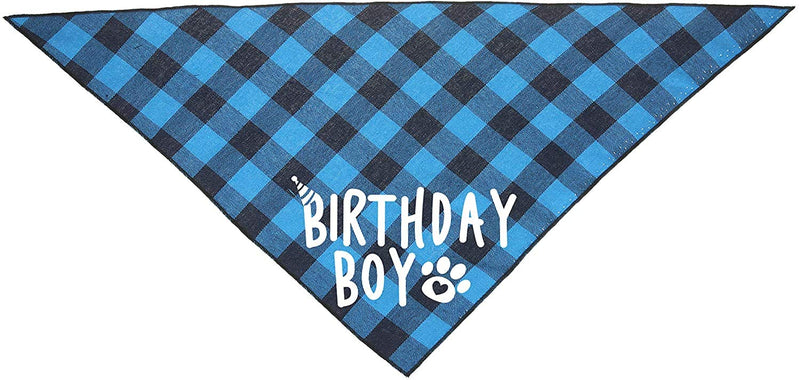 Dog Birthday Bandana Boy Blue - PawsPlanet Australia